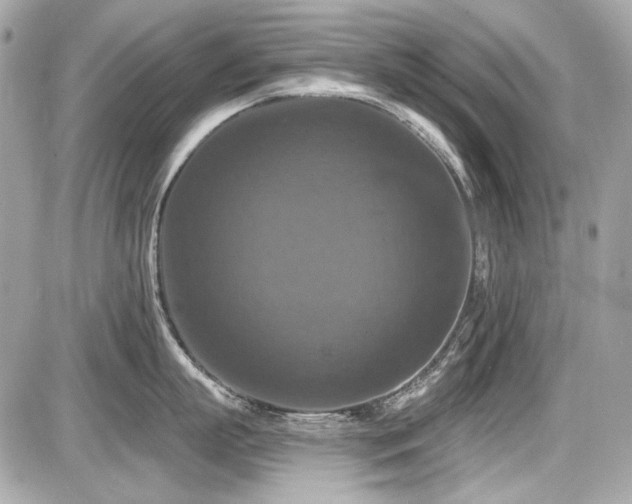 X0000087700863200705041101