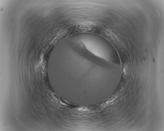 X0000087700867200705041100