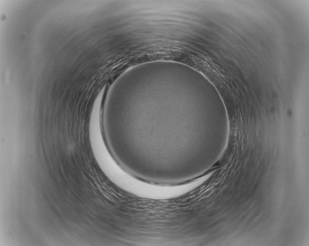 X0000087700868200705041100