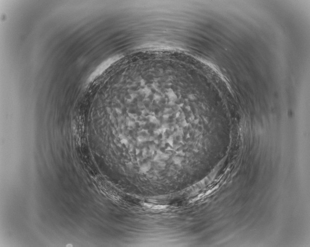 X0000087700871200705041100