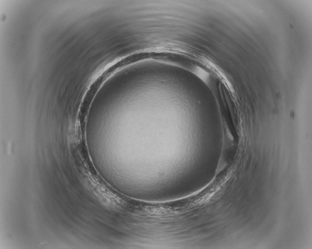 X0000087700876200705041100