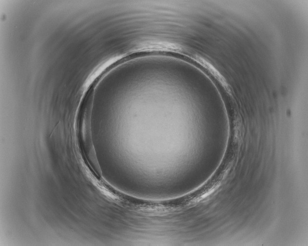 X0000087700885200705041100