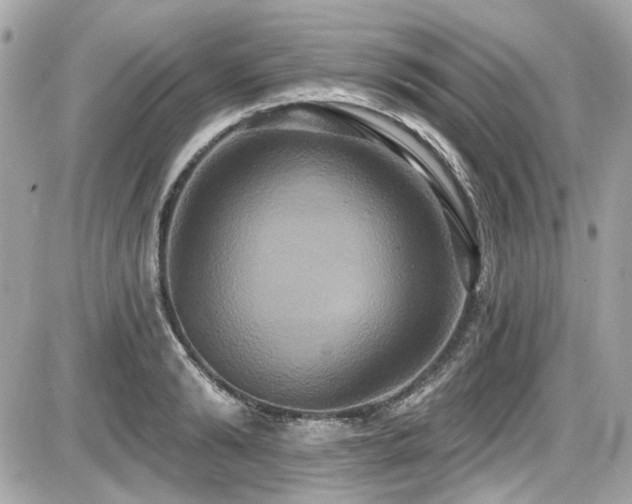 X0000087700894200705041100