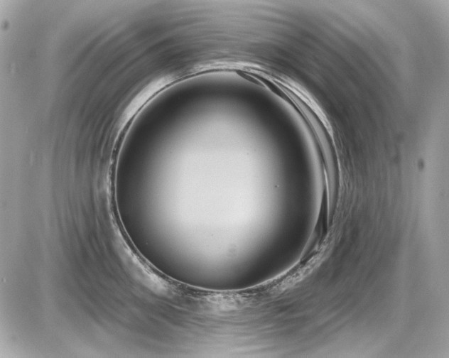 X0000087700906200705041100