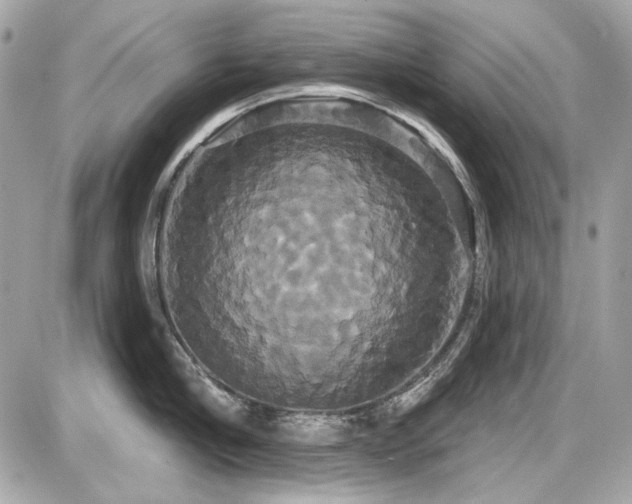 X0000087700910200705041100