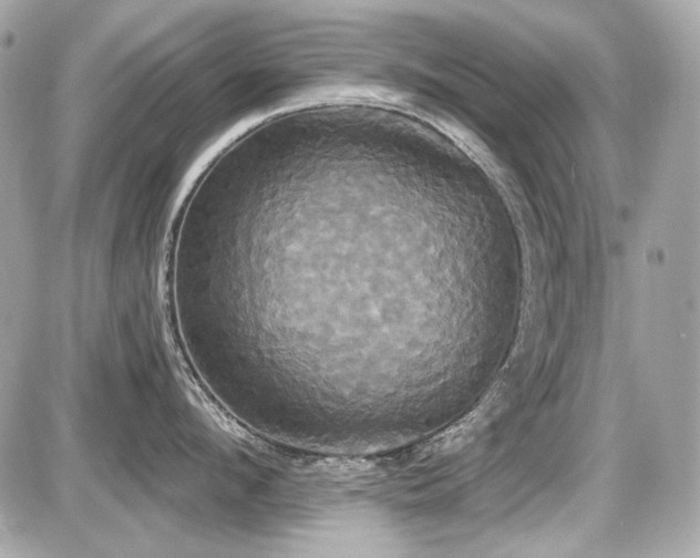 X0000087700912200705041100