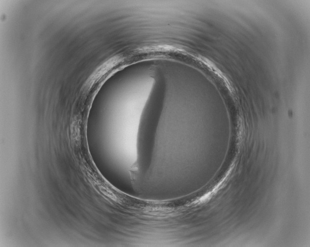 X0000087700921200705041059