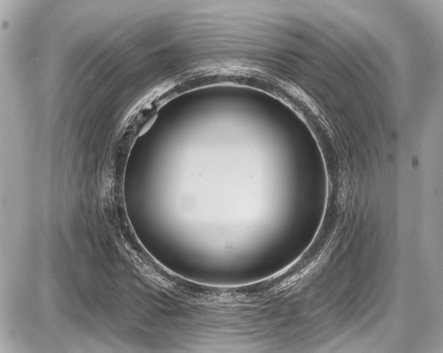 X0000087700922200705041059