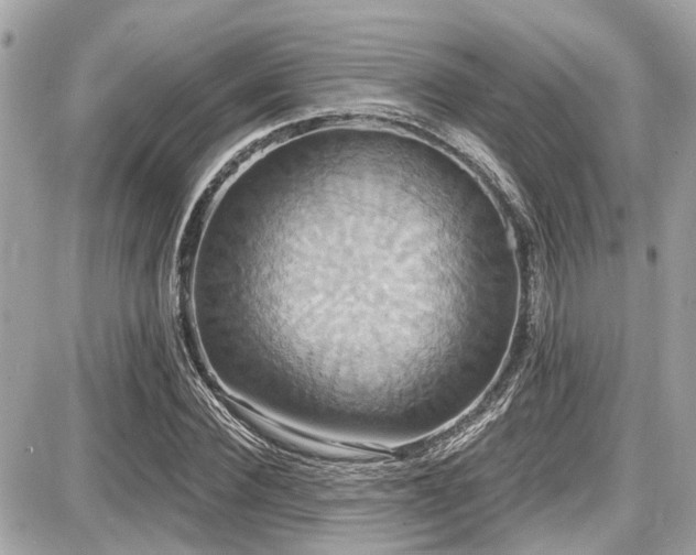 X0000087700924200705041059