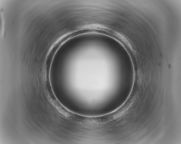 X0000087700931200705041059
