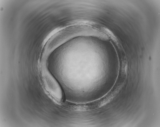 X0000087700936200705041059