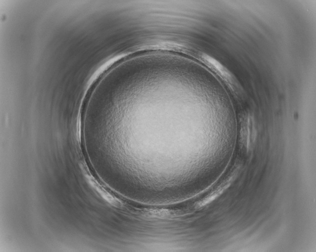 X0000087700940200705041059