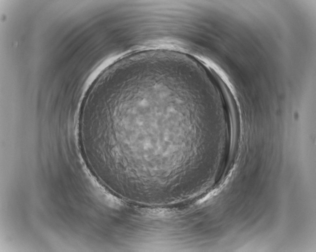 X0000087700949200705041059