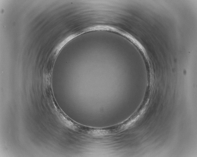 X0000087700953200705041059