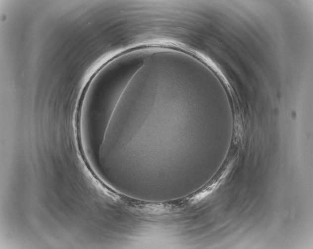 X0000087700959200705041100