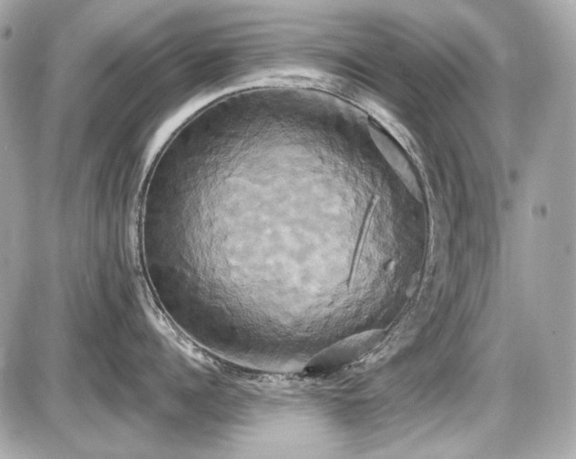 X0000087700960200705041100