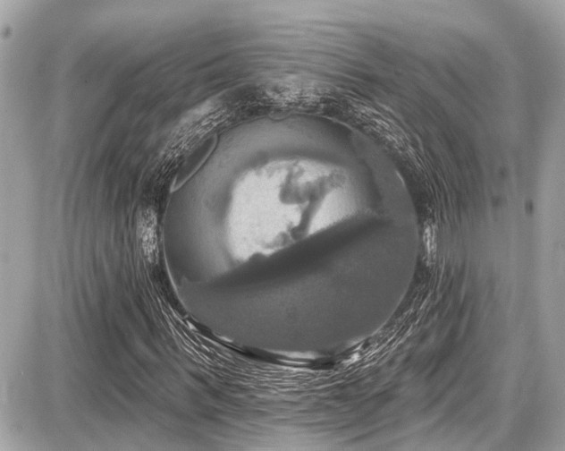 X0000087700963200705041059