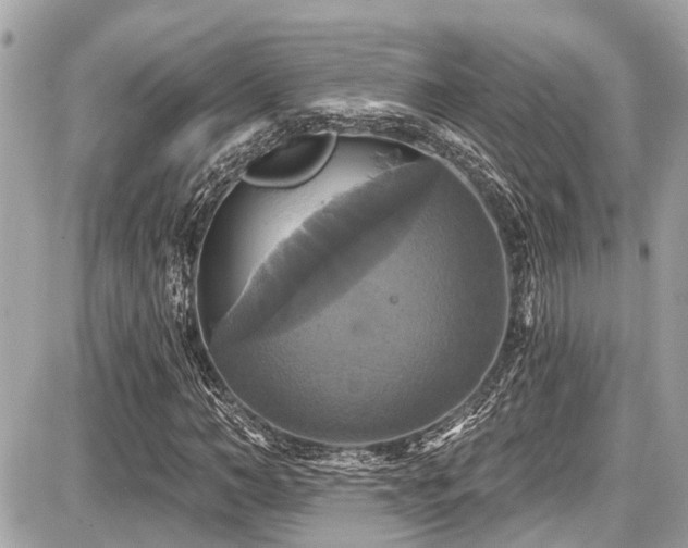 X0000087700966200705041059