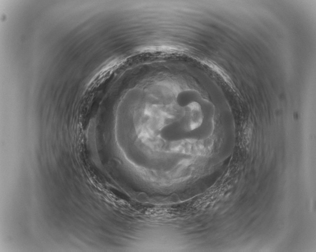 X0000087700967200705041059
