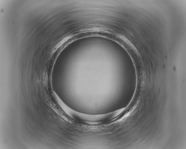 X0000087700969200705041059