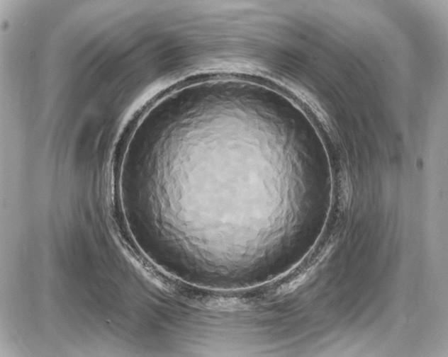 X0000087700982200705041058