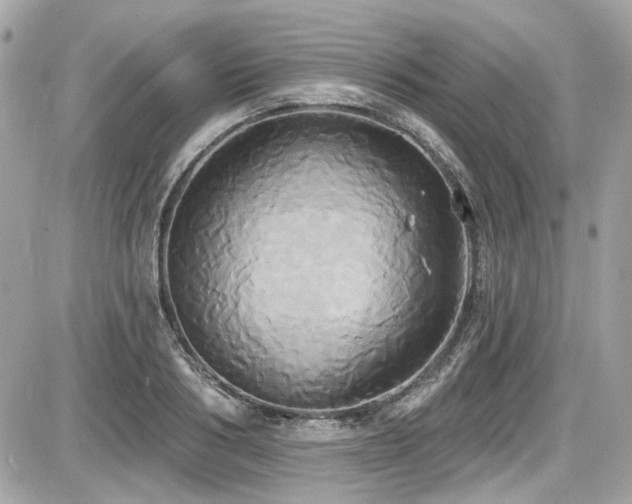 X0000087700986200705041058