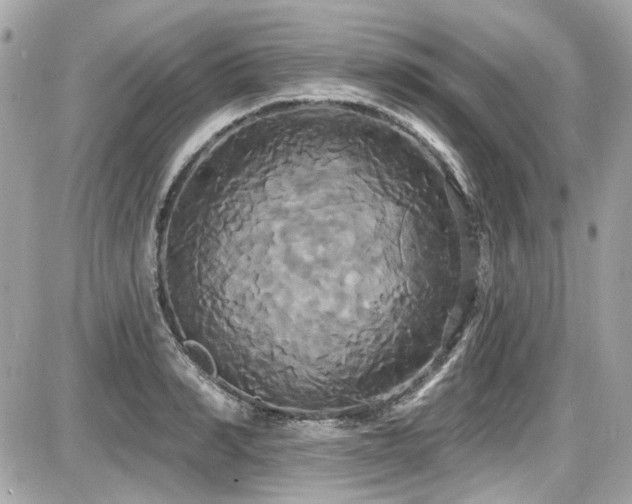 X0000087700990200705041058