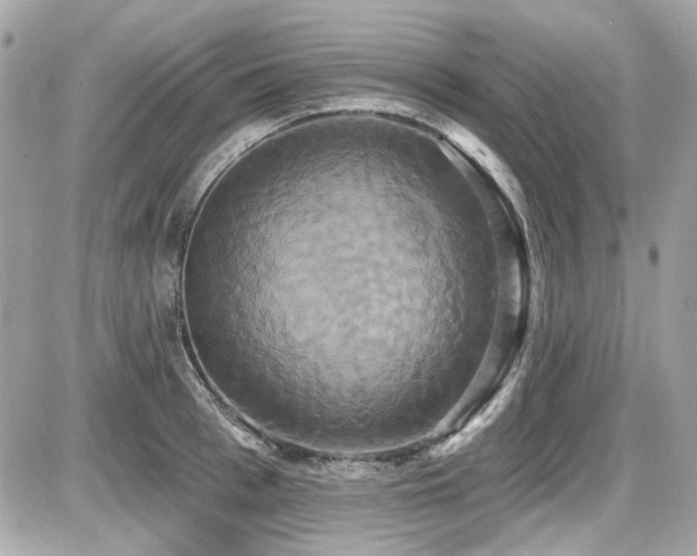 X0000087700993200705041058