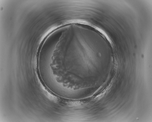 X0000087700999200705041058