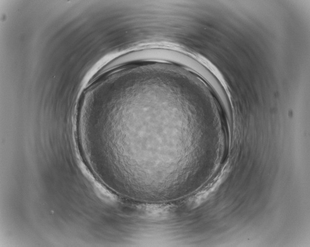 X0000087701005200705041058