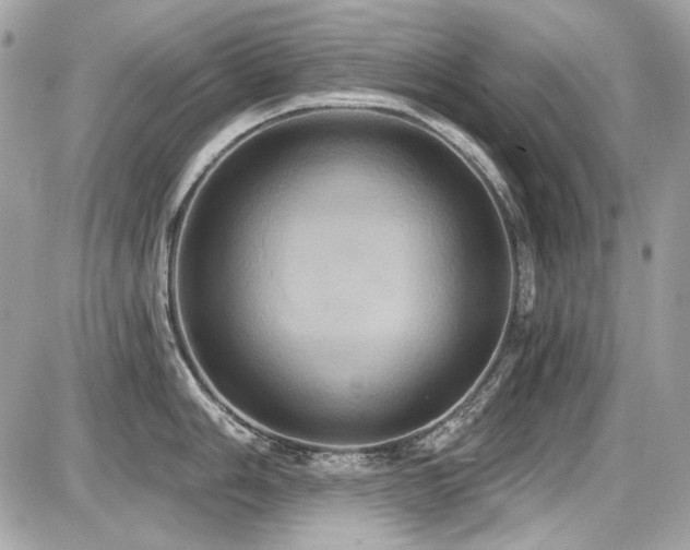 X0000087701006200705041058