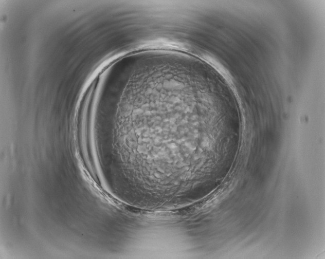 X0000087701008200705041058