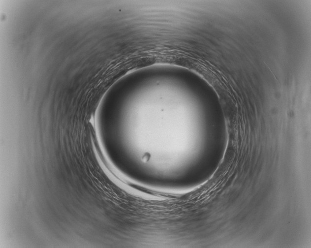 X0000087701010200705041057