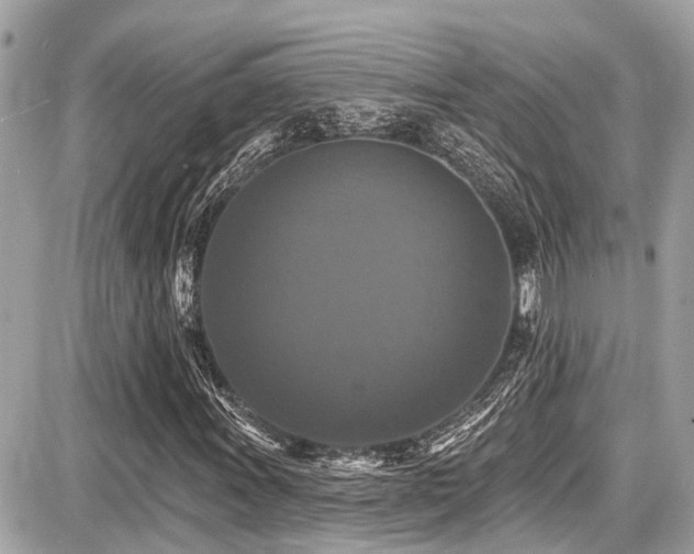 X0000087701011200705041057