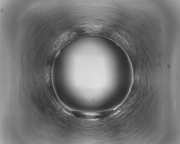 X0000087701012200705041057