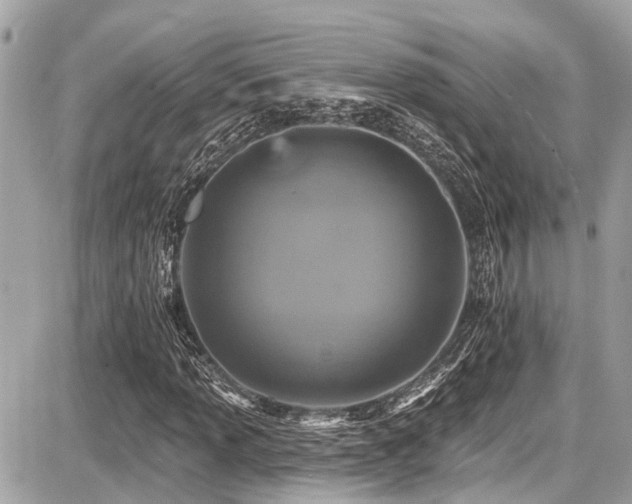 X0000087701013200705041057