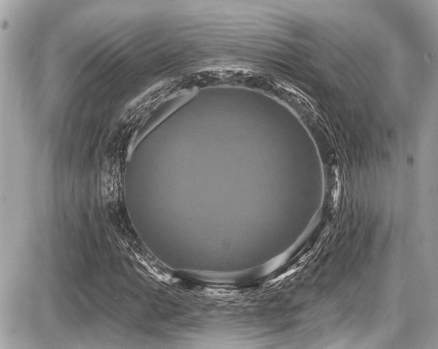 X0000087701014200705041057