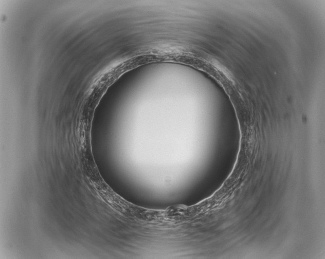 X0000087701016200705041057