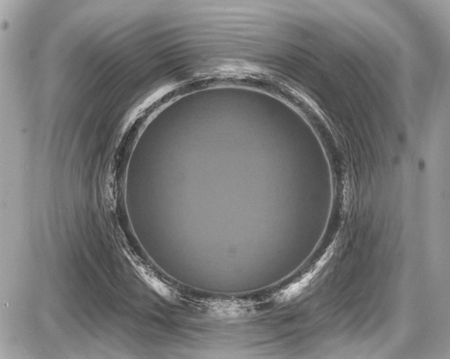 X0000087701018200705041057