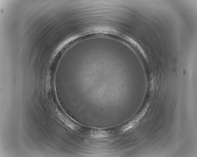 X0000087701019200705041057