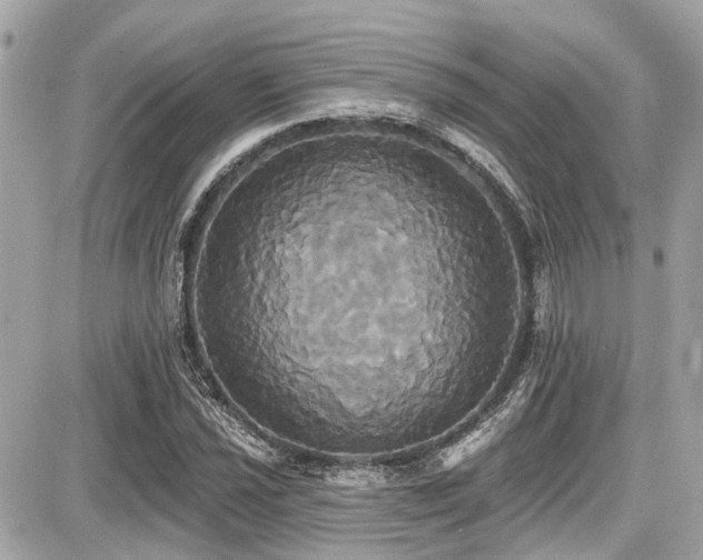 X0000087701021200705041057