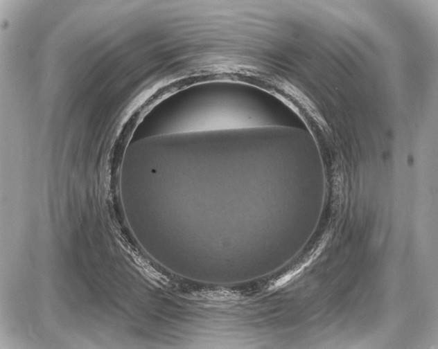 X0000087701023200705041057