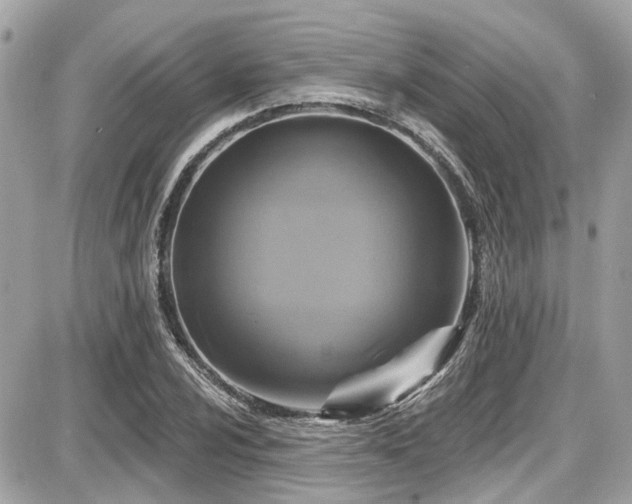 X0000087701024200705041057