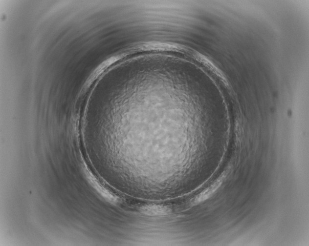X0000087701033200705041058