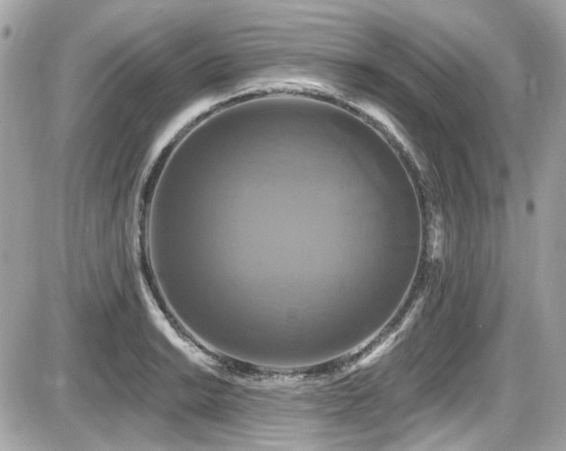 X0000087701038200705041058