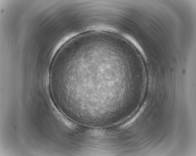 X0000087701040200705041058