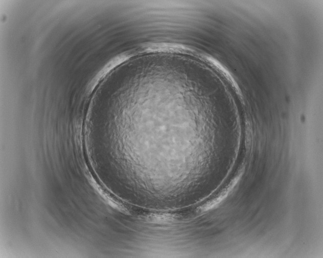 X0000087701041200705041058