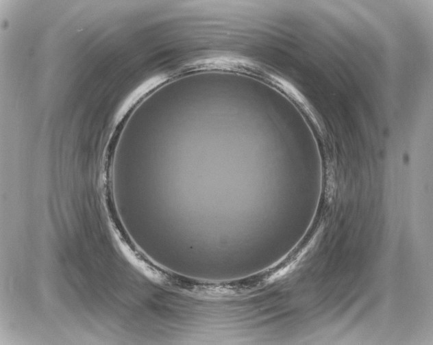 X0000087701042200705041058