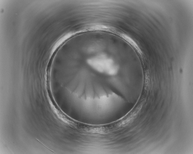 X0000087701047200705041058