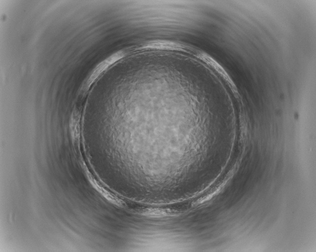 X0000087701049200705041058